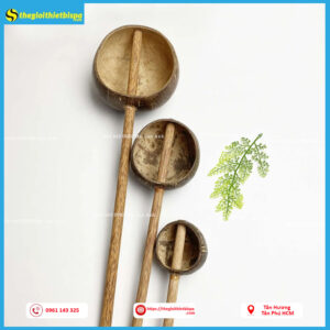 Chậu tre, gáo dừa