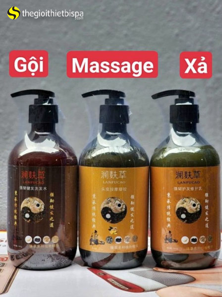 Gội Đầu Dưỡng Sinh Kết Hợp Massage Cổ Vai Gáy