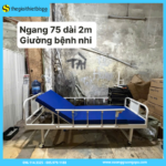 Giường Bệnh Nhi 1 Tay Quay Nâng Đầu